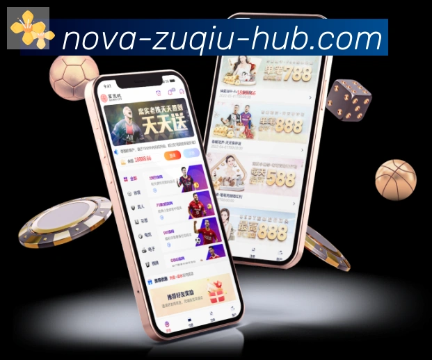未来规划